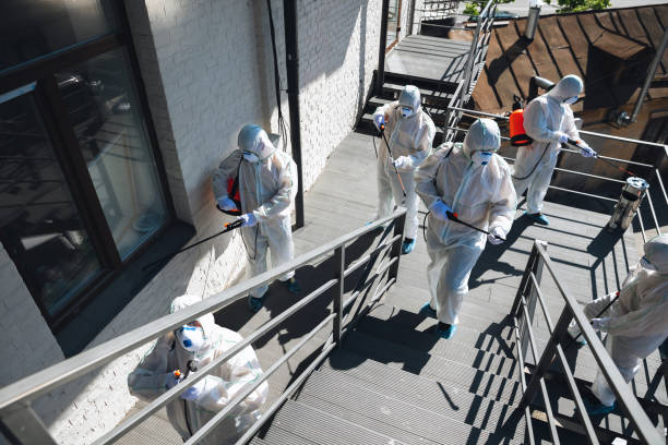 Best Comprehensive Air Testing for Mold Contaminants  in Goodview, MN