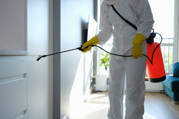 Mold Documentation for Insurance Claims in Goodview, MN