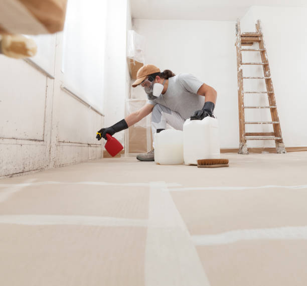 Best Mold-Related Health Consultation  in Goodview, MN